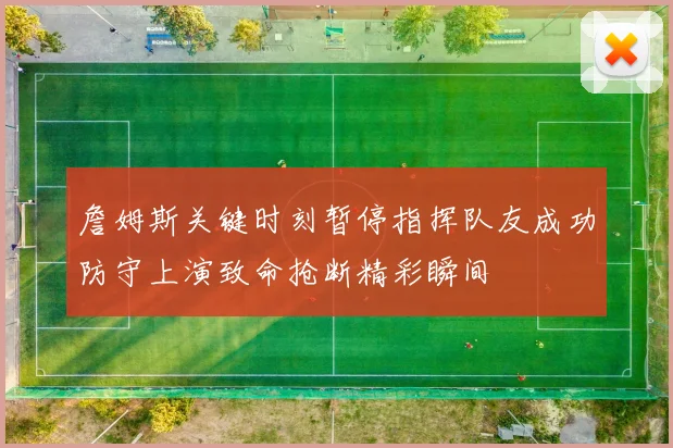 詹姆斯关键时刻暂停指挥队友成功防守上演致命抢断精彩瞬间