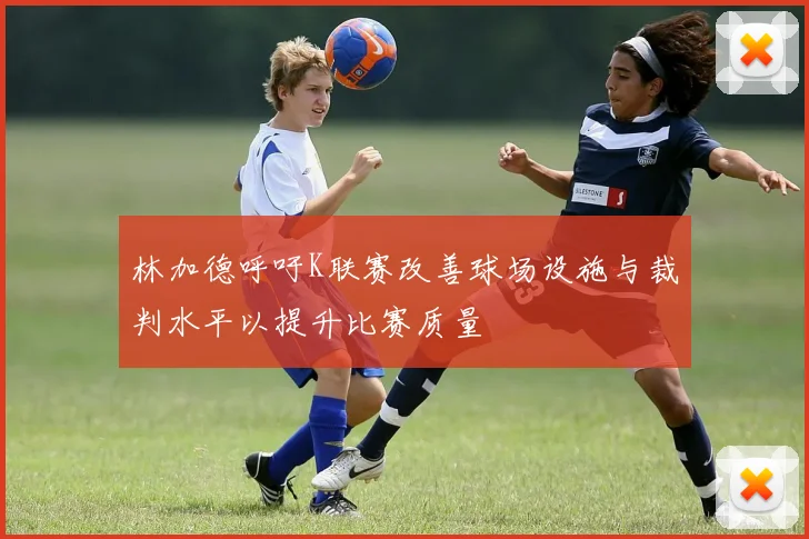 林加德呼吁K联赛改善球场设施与裁判水平以提升比赛质量
