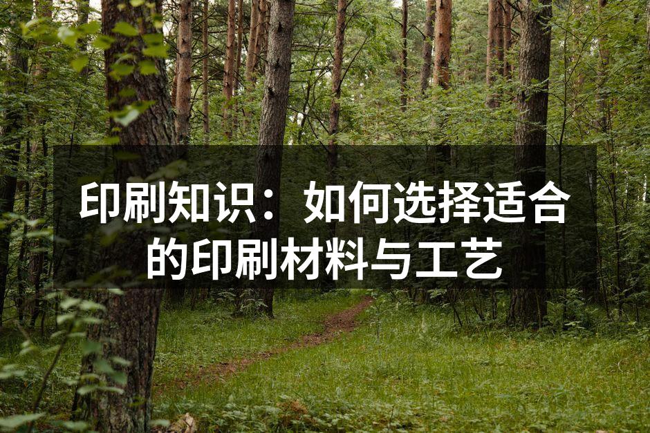 丰富多样的印刷材料展示