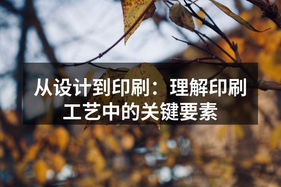 印刷工艺的基本要素概述